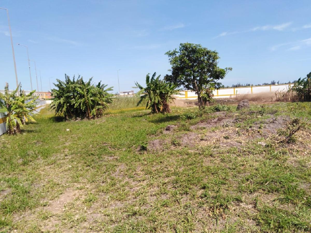 Trespasse de Terreno Exclusivo em Chiango, Zimpeto, Maputo: Oportunidade Única de Investimento!