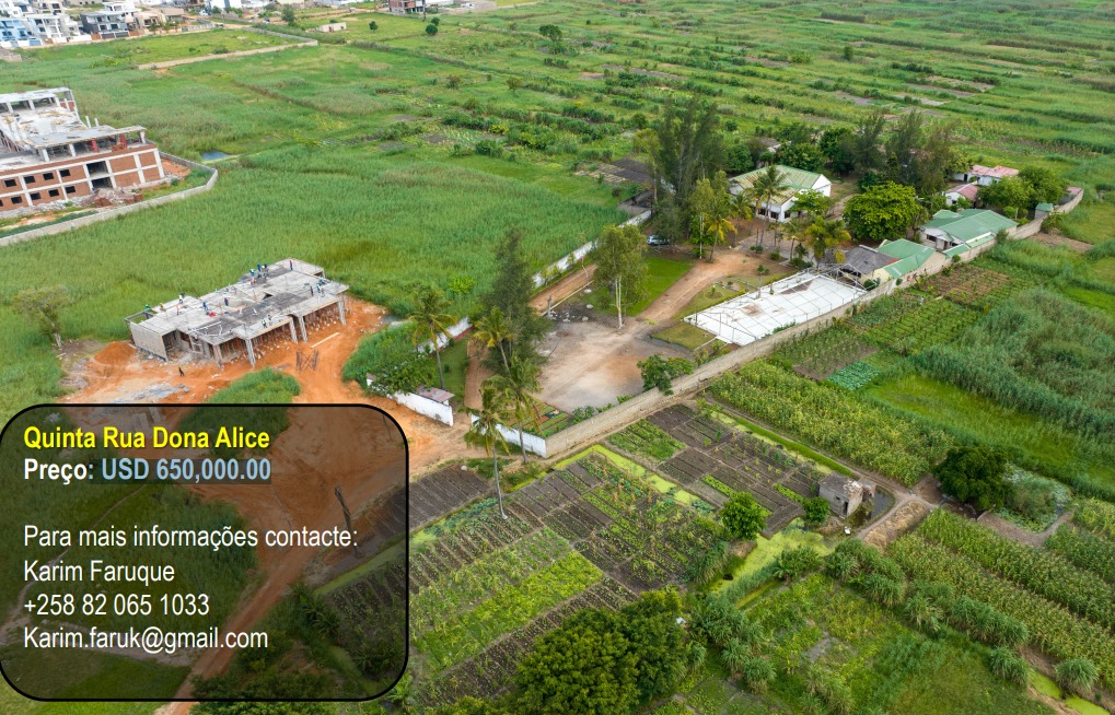 Quinta Na Rua Da Dona Alice, Maputo - Moçambique por 41.600.000.00 MZN