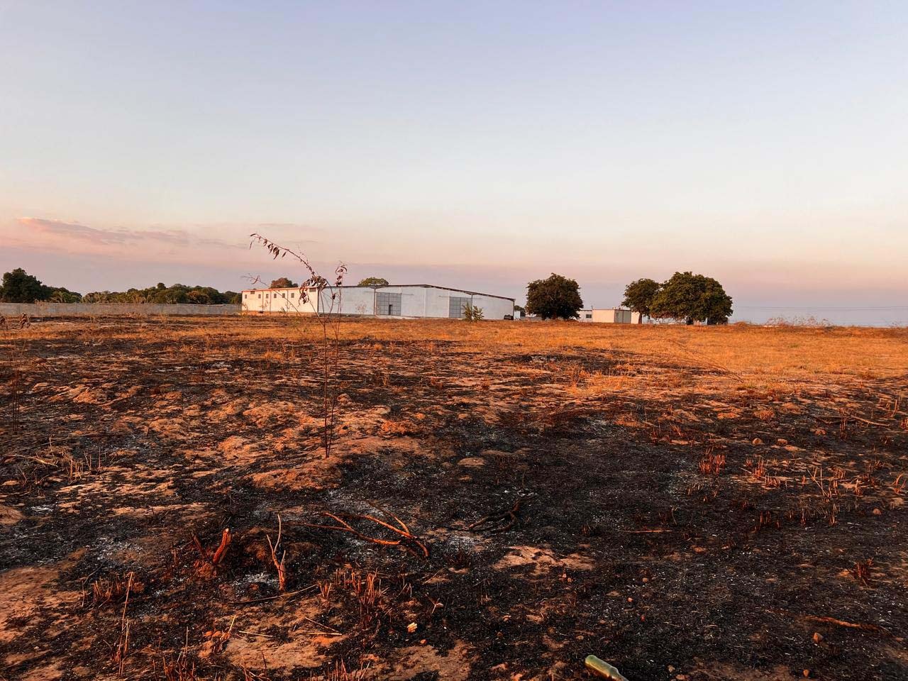 Vende-se 10 Hectares na Rodovia N4 em Nampula por Apenas 1.450.000.00 USD