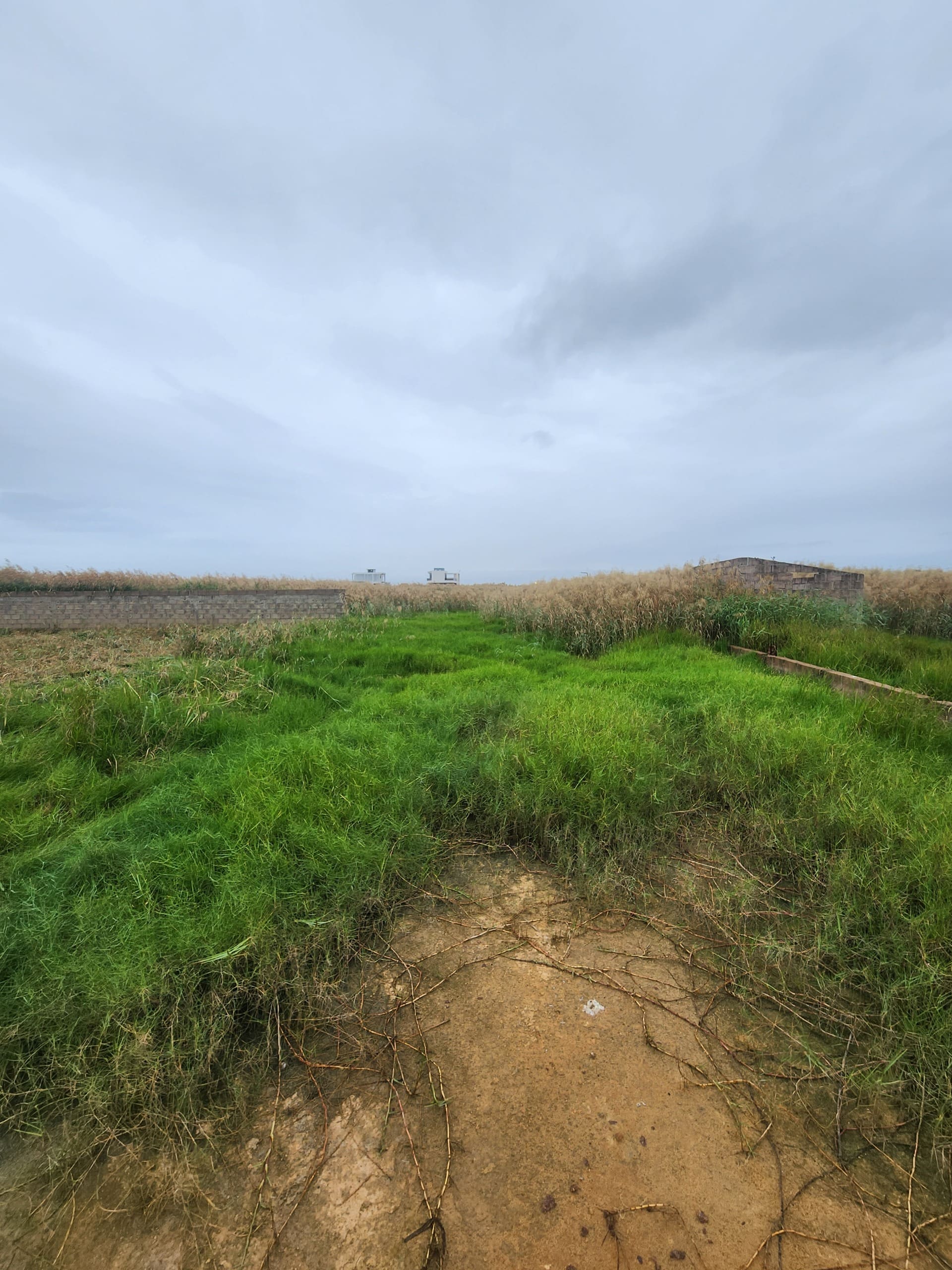 Trespasse de Terreno 30*20 em Mapulene por apenas 850.000.00 Mzn